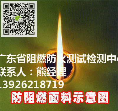輪椅組件抗點燃性能檢測圖片/輪椅組件抗點燃性能檢測樣板圖 (2)