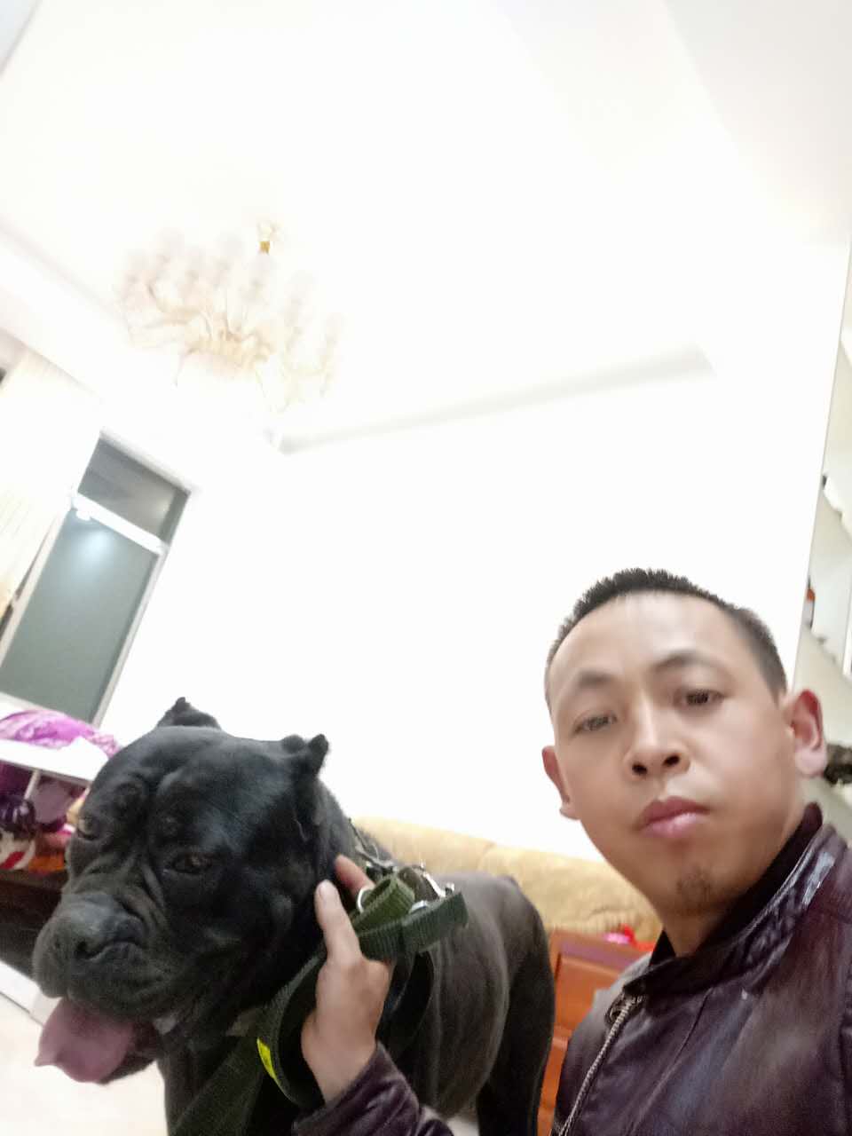 貴定卡斯羅圖片/貴定卡斯羅樣板圖 (3)