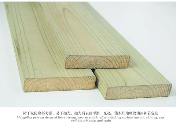 嘉士禾樟子松圖片