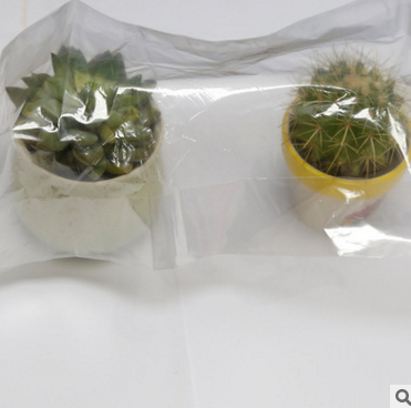 東莞紙巾袋圖片