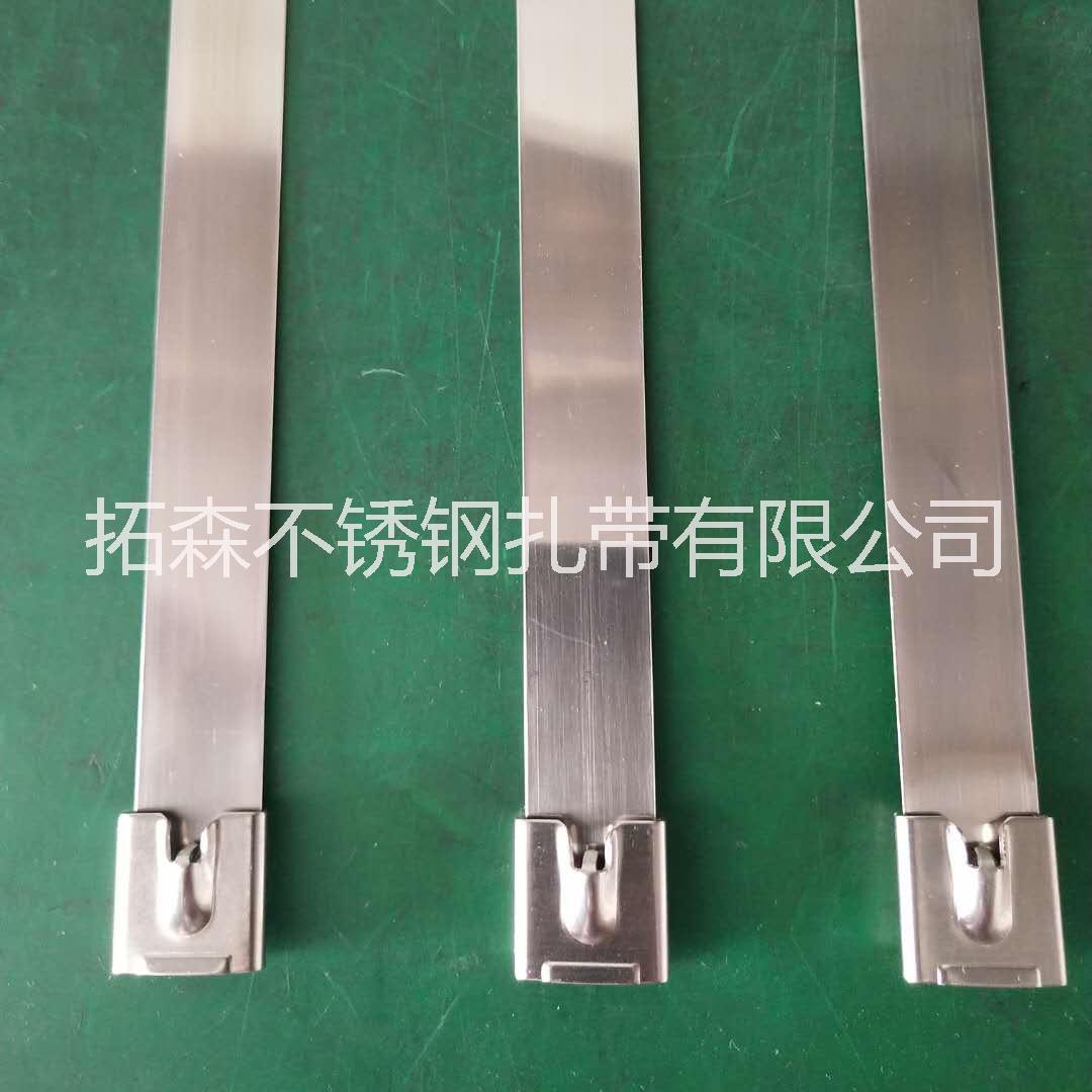 自鎖式不銹鋼扎帶圖片/自鎖式不銹鋼扎帶樣板圖 (3)