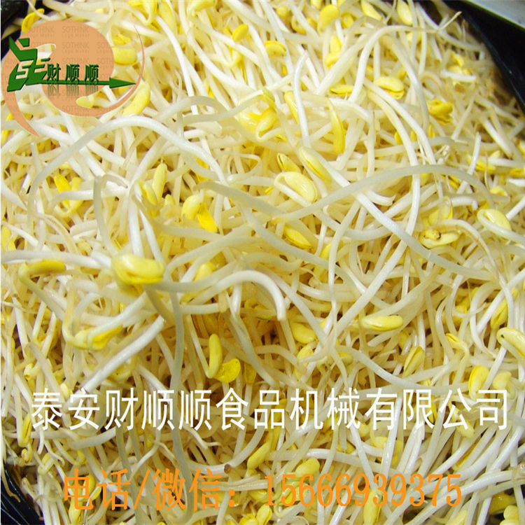 豆芽機(jī)圖片/豆芽機(jī)樣板圖 (1)