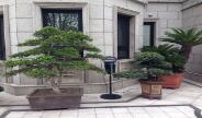 藍(lán)犀牛戶外花園生物滅蚊機圖片/藍(lán)犀牛戶外花園生物滅蚊機樣板圖 (3)