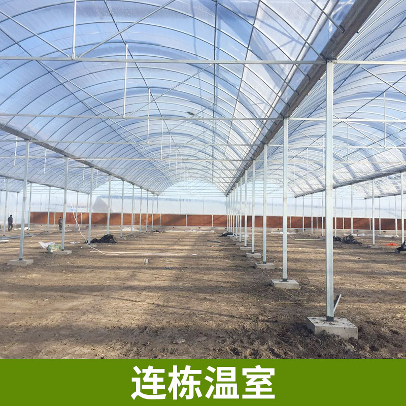 蔬菜大棚圖片/蔬菜大棚樣板圖 (3)