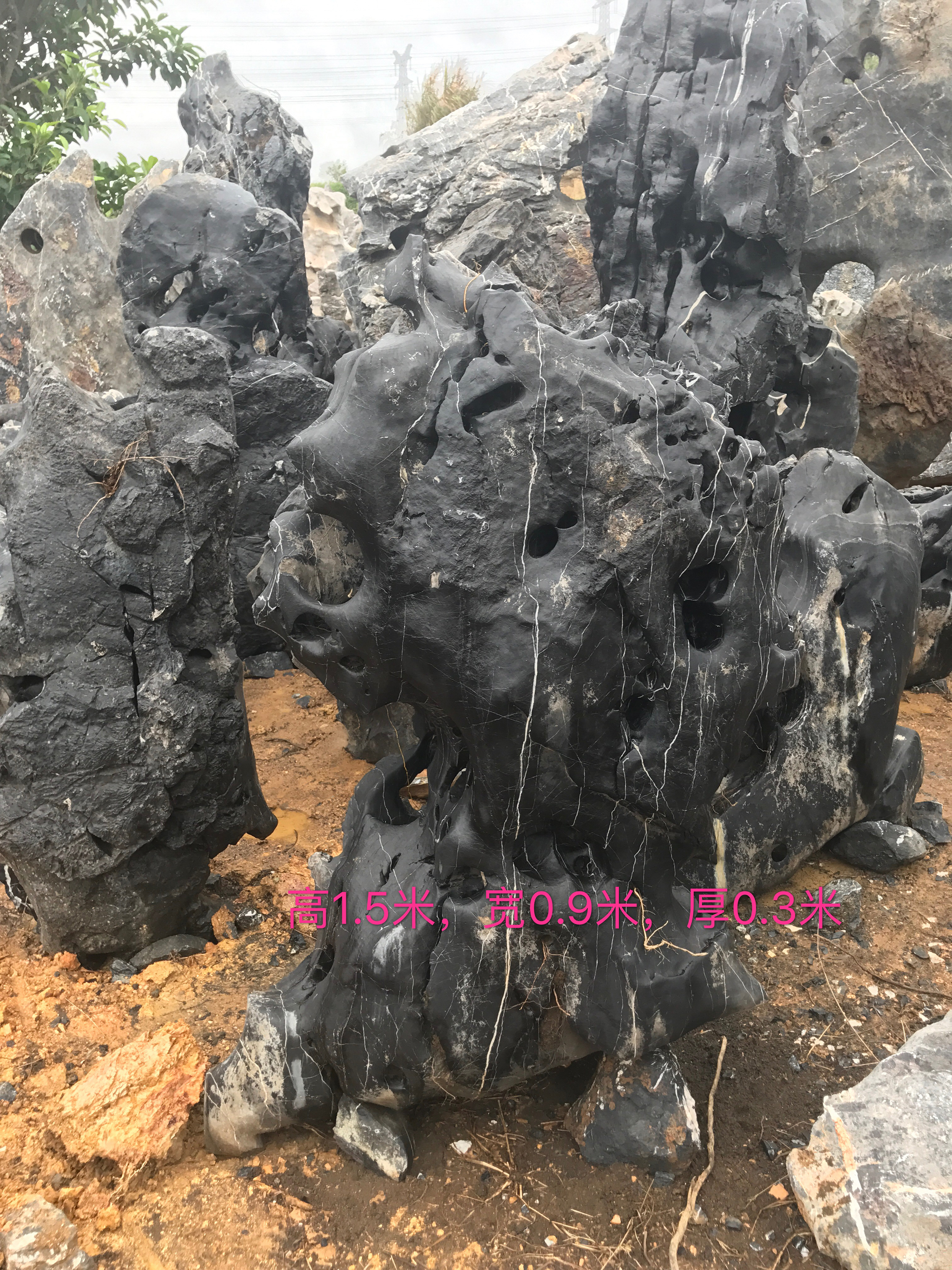 英德太湖石假山石圖片/英德太湖石假山石樣板圖 (1)