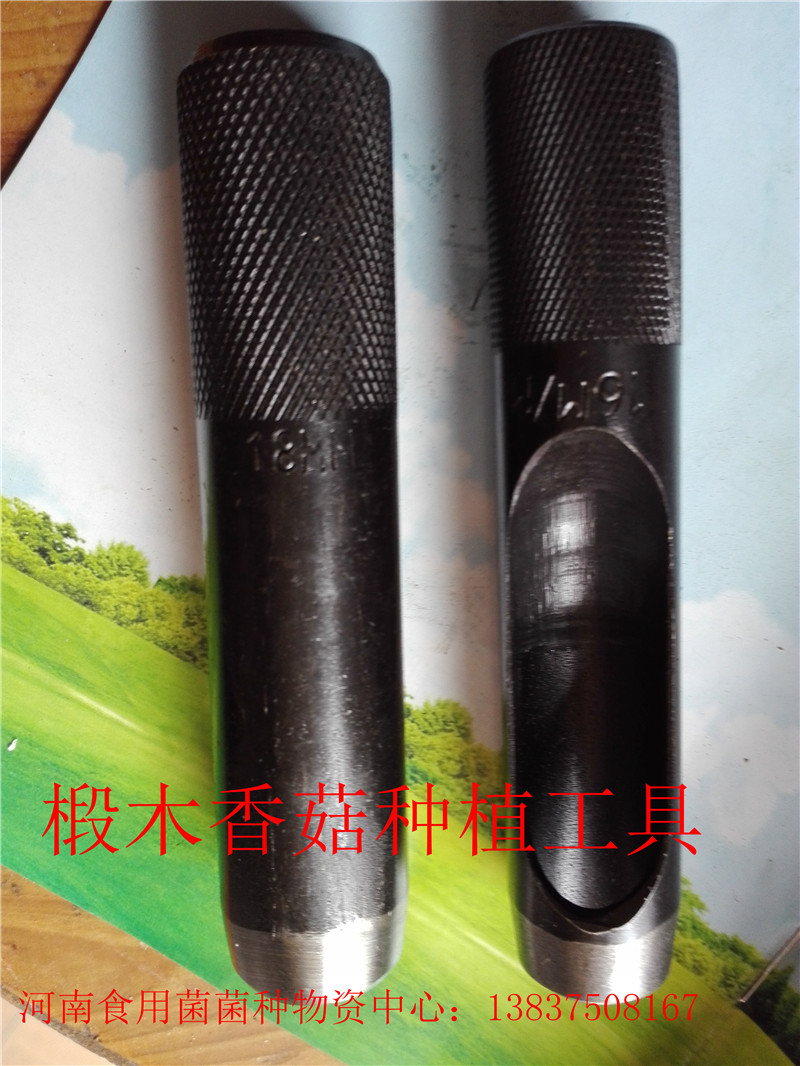 技術(shù)培訓(xùn)圖片/技術(shù)培訓(xùn)樣板圖 (2)