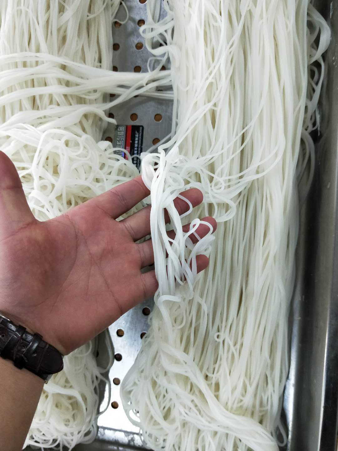 小型云南米線機(jī)廠家圖片