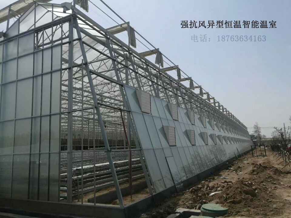 哈爾濱 恒溫智能溫室大棚育苗室圖片/哈爾濱 恒溫智能溫室大棚育苗室樣板圖 (3)