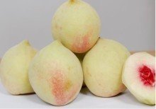 蜜桃苗圖片/蜜桃苗樣板圖 (3)