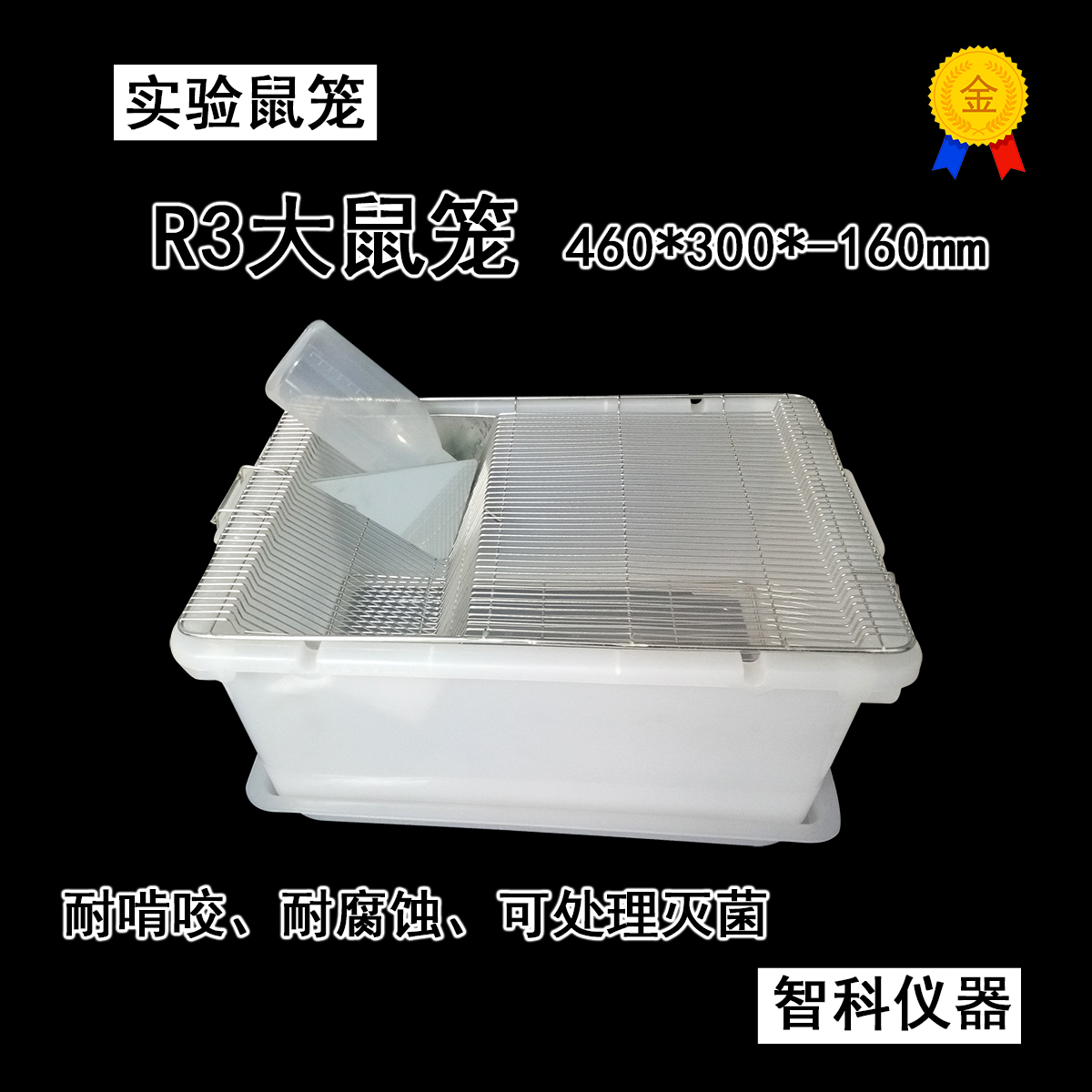 大鼠圖片/大鼠樣板圖 (1)