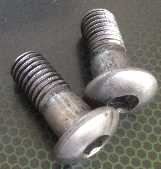 梅花頭圖片/梅花頭樣板圖 (3)