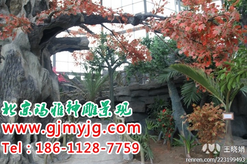 假樹圖片/假樹樣板圖 (3)