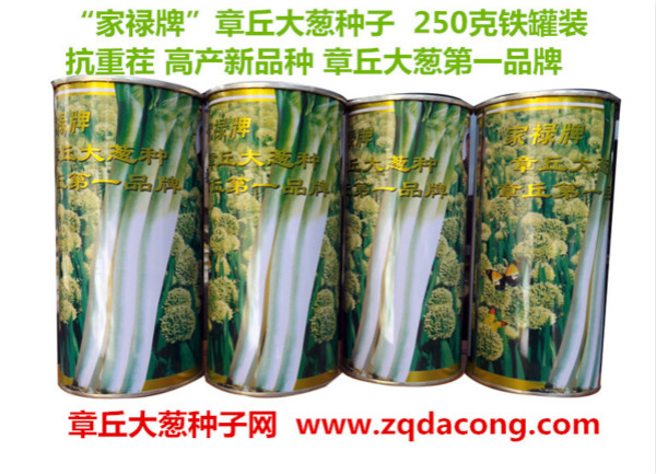 章丘大蔥圖片/章丘大蔥樣板圖 (2)
