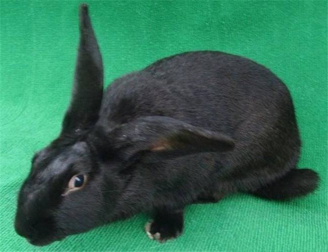 連山圖片/連山樣板圖 (2)