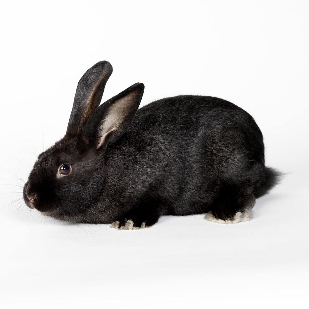 連山圖片/連山樣板圖 (4)