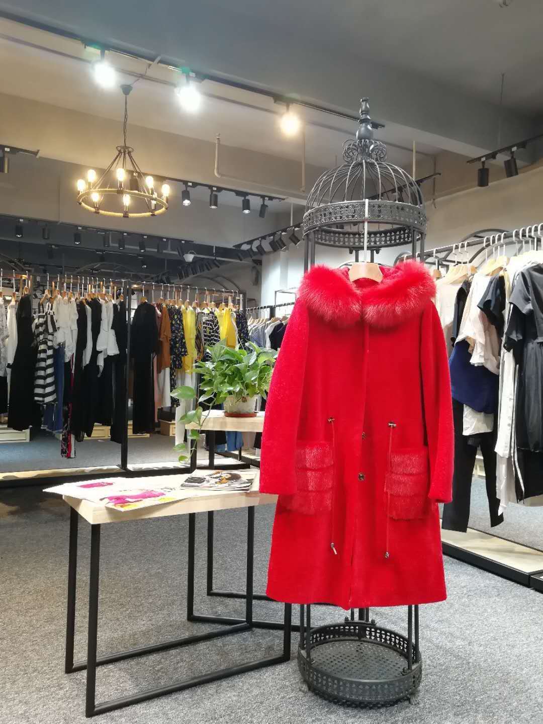 反季節(jié)銷售    羊剪絨圖片