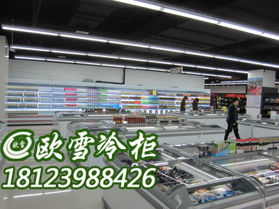 上海供應(yīng)超市專用冷凍柜島柜哪里有圖片