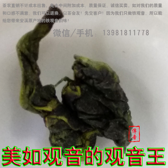 安溪觀音王 觀音王 鐵觀音金獎 安溪鐵觀音 鐵觀音批發(fā) 鐵觀音直銷 蘭花香觀音王