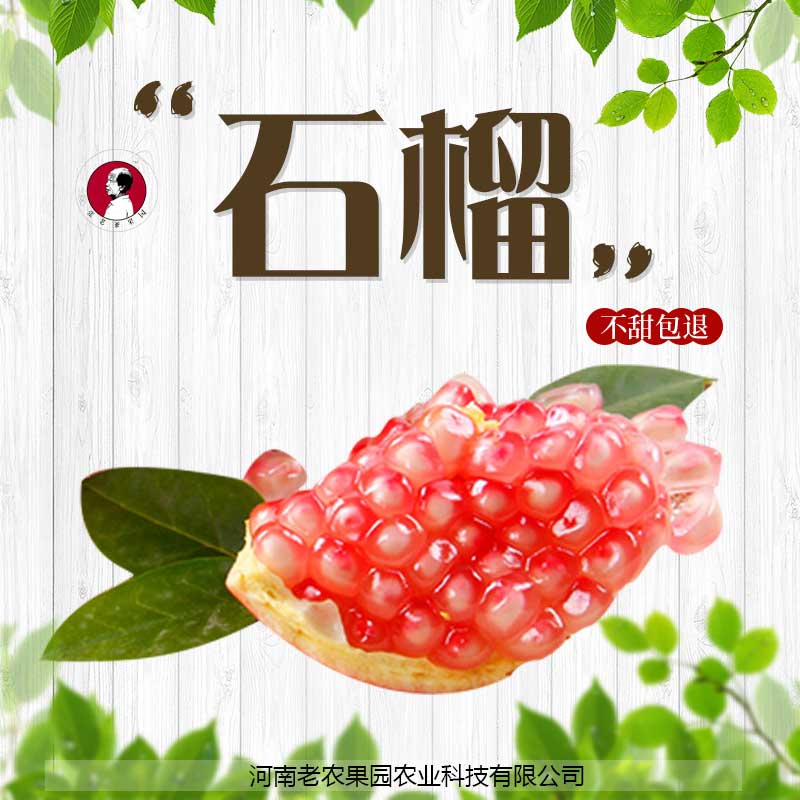 河南水果園 直銷(xiāo)批發(fā) 供應(yīng)石榴 鮮甜多汁原味營(yíng)養(yǎng) 軟籽石榴甘甜清爽