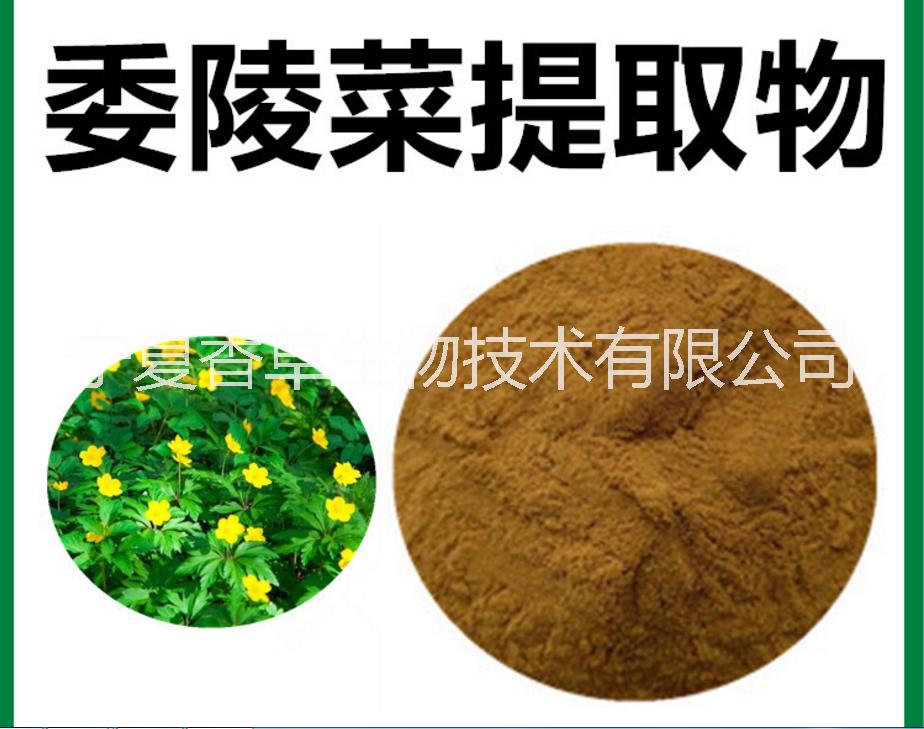 委陵菜提取物寧夏廠家拳參提取物 香草豆粉 蚤休提取液海桐皮浸膏 燈心草粉 天仙藤萃取物 谷芽粉 苧麻根提取物