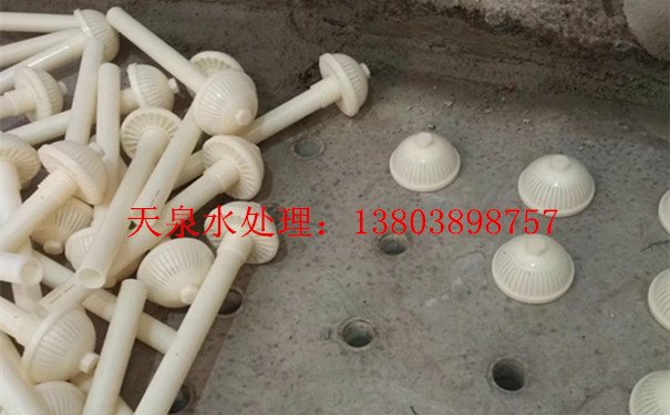 濾頭濾帽圖片/濾頭濾帽樣板圖 (2)