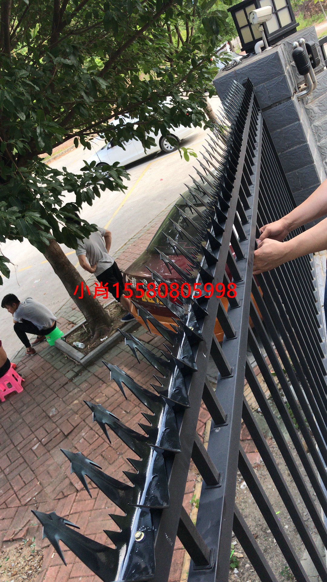 防爬刺圖片/防爬刺樣板圖 (1)