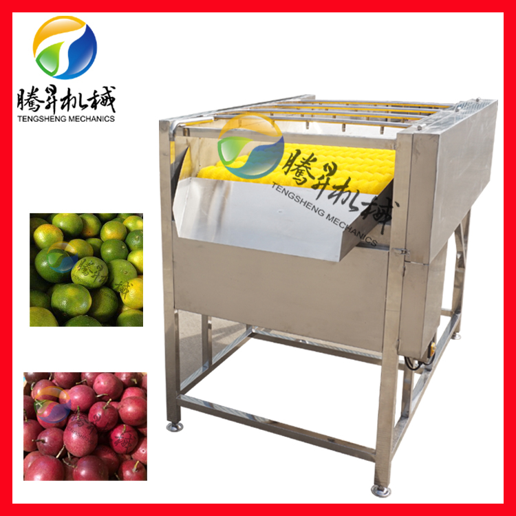 洗果機圖片/洗果機樣板圖 (1)