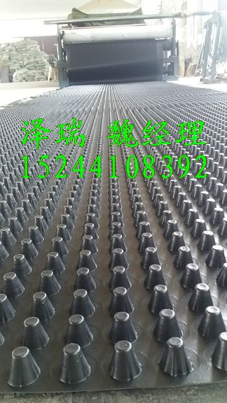 地下車(chē)庫(kù)排水板圖片/地下車(chē)庫(kù)排水板樣板圖 (1)