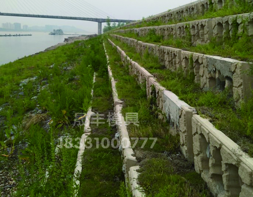 生態(tài)護坡圖片/生態(tài)護坡樣板圖 (2)