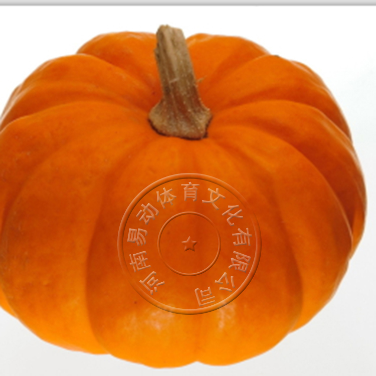 大豐收圖片/大豐收樣板圖 (4)