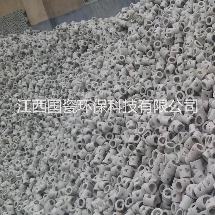 陶瓷鮑爾環(huán)填料圖片/陶瓷鮑爾環(huán)填料樣板圖 (3)