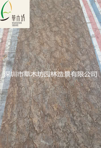 油松樹皮  仿真樹皮 假樹皮圖片/油松樹皮  仿真樹皮 假樹皮樣板圖 (3)