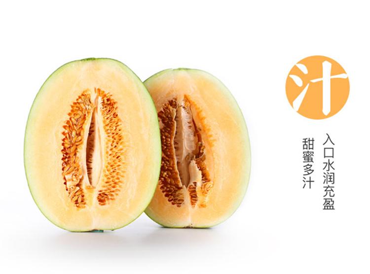 鄭州哈密瓜團(tuán)購(gòu)批發(fā)圖片/鄭州哈密瓜團(tuán)購(gòu)批發(fā)樣板圖 (4)