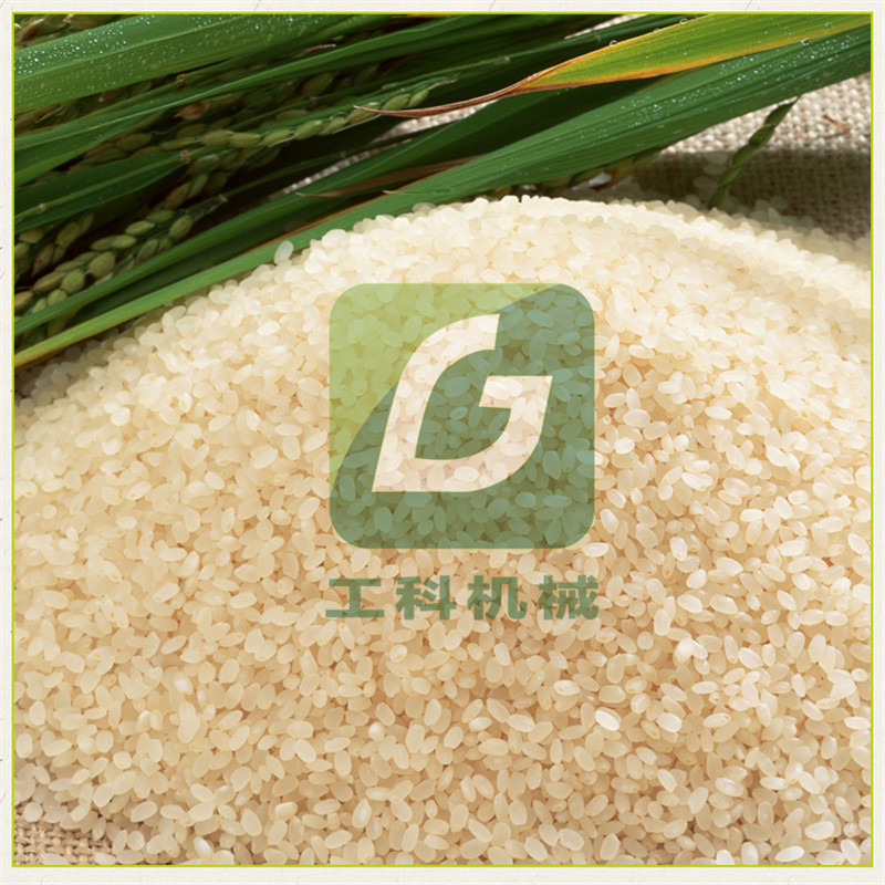 澳洲燕麥脫皮機圖片/澳洲燕麥脫皮機樣板圖 (3)