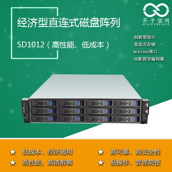 12盤位磁盤陣列圖片
