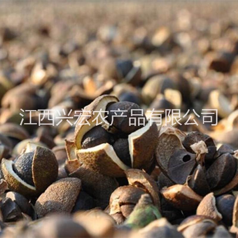 山茶油圖片/山茶油樣板圖 (3)