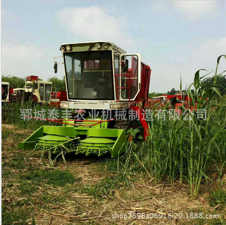 微型青儲機價格   微型青儲機供應(yīng)商  微型青儲機哪家好  微型青儲機電話  山東微型青儲機