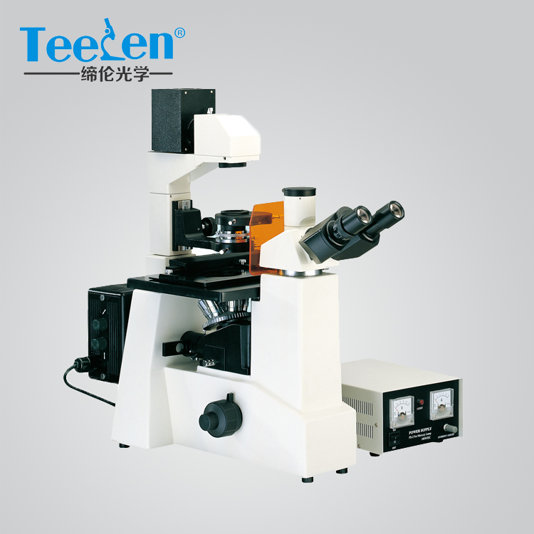 熒光顯微鏡圖片/熒光顯微鏡樣板圖 (1)