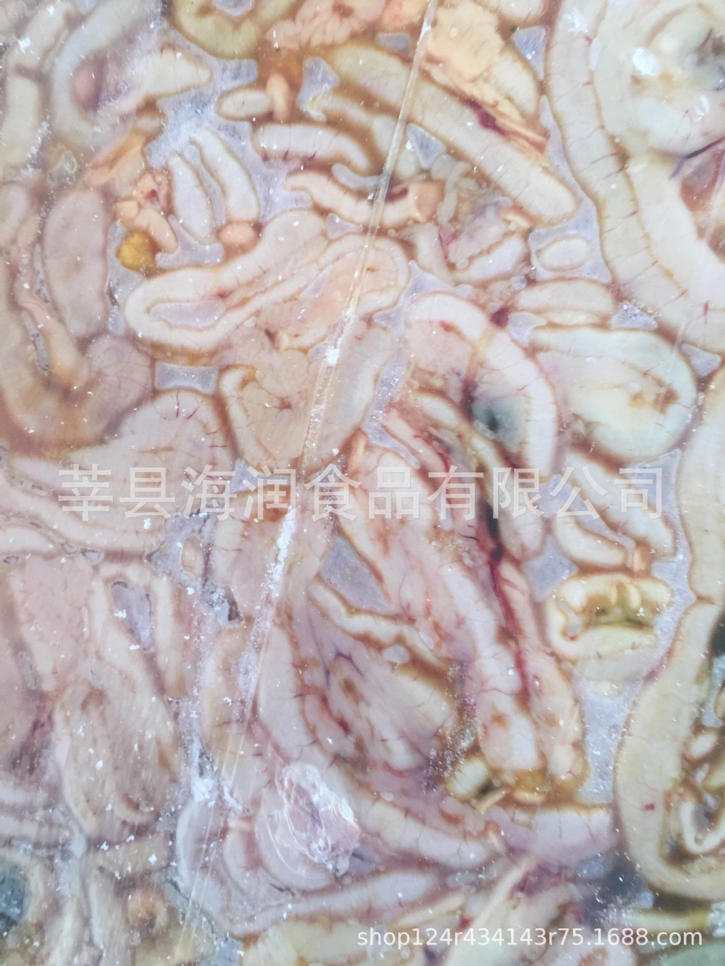 凍雞腸圖片/凍雞腸樣板圖 (3)