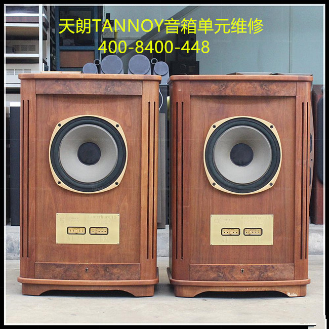 Tannoy天朗音響、音箱的維修圖片/Tannoy天朗音響、音箱的維修樣板圖 (2)