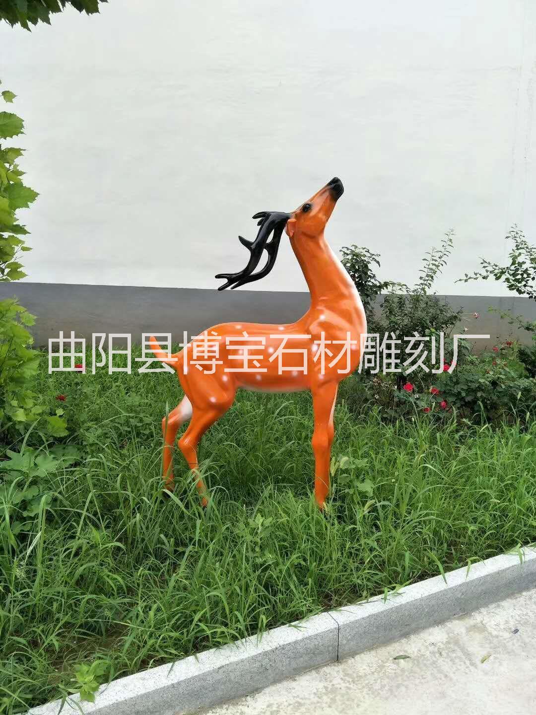 梅花鹿圖片/梅花鹿樣板圖 (2)