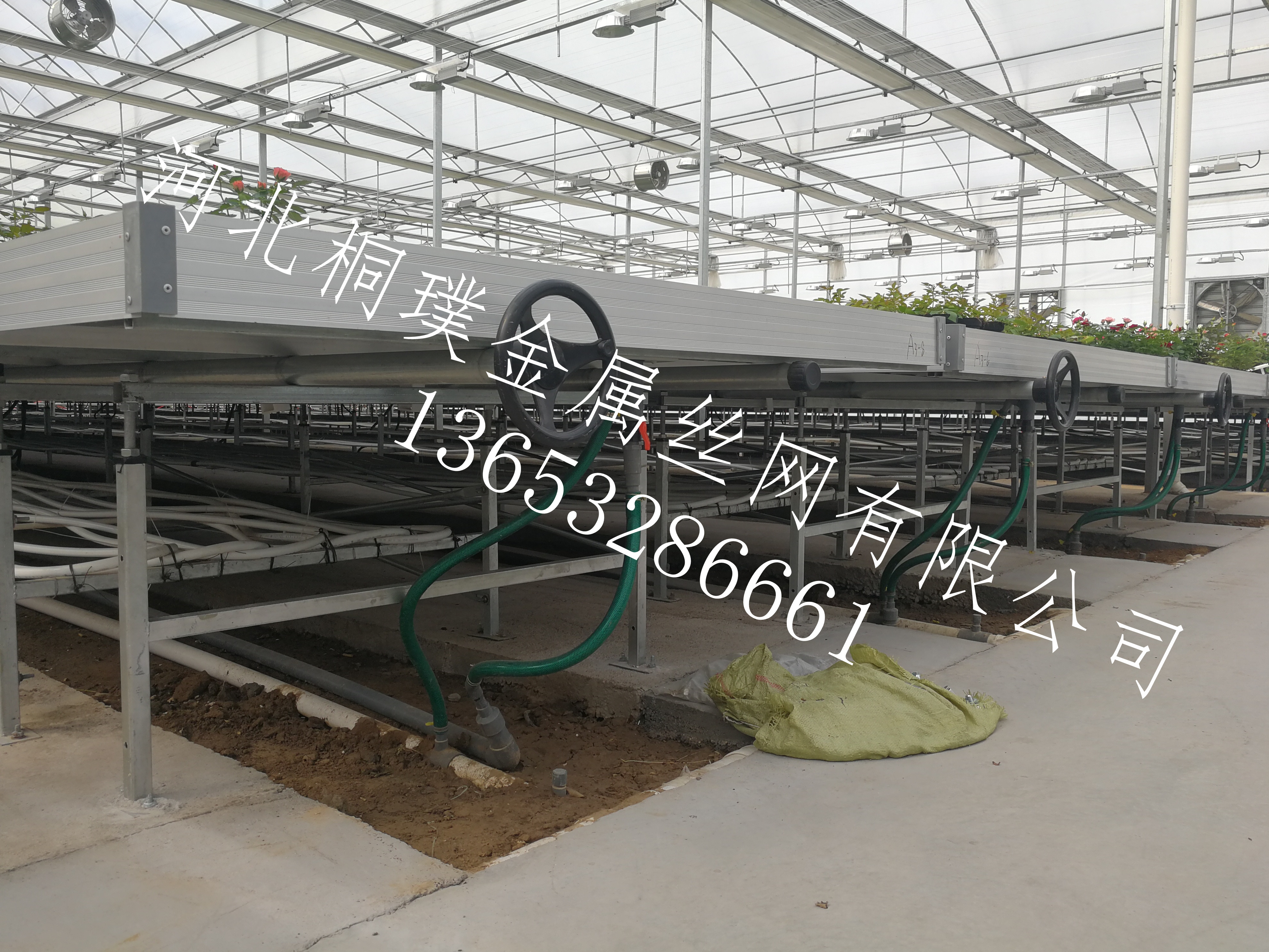 苗床圖片/苗床樣板圖 (2)