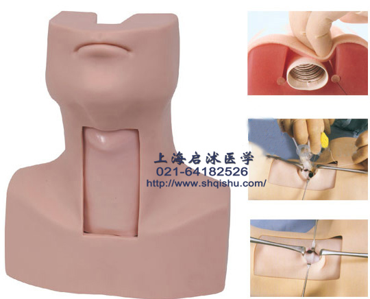 QS/J58 *環(huán)甲膜穿刺及氣管切開插管訓練模型