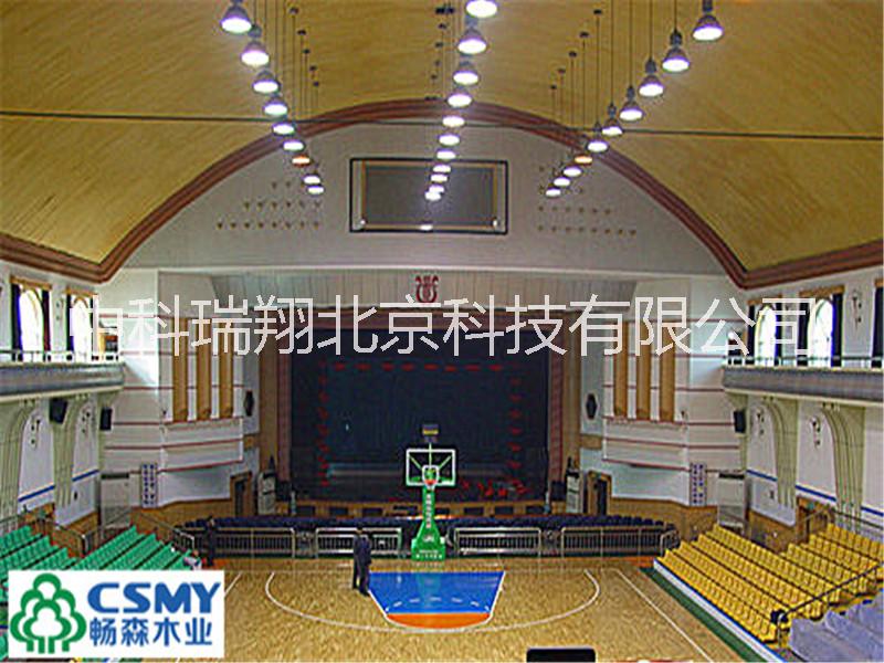 運動地板圖片/運動地板樣板圖 (1)