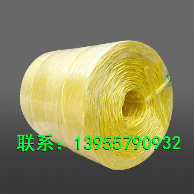 PE打捆繩圖片/PE打捆繩樣板圖 (2)