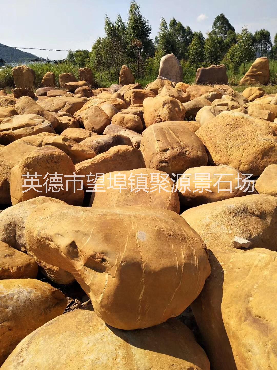 黃蠟石圖片/黃蠟石樣板圖 (1)