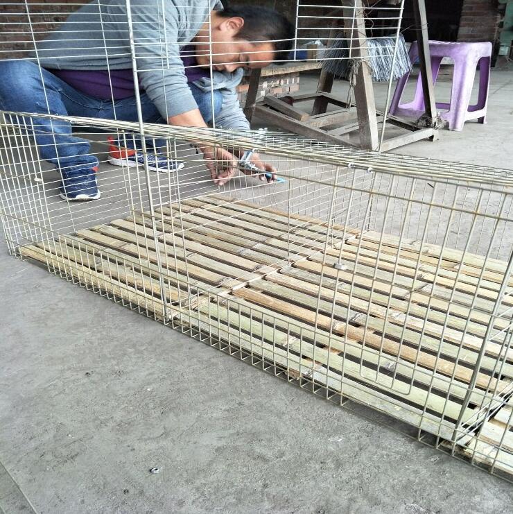 竹底板圖片/竹底板樣板圖 (2)