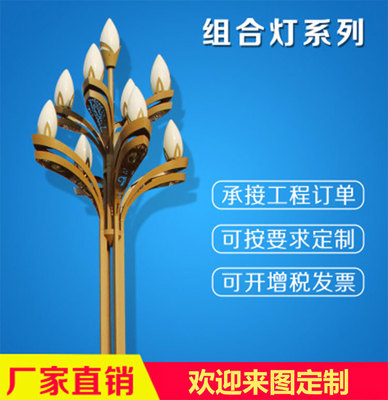 廠家直銷(xiāo)智光戶(hù)外照明庭院燈LED景觀燈柱燈戶(hù)外LED景觀燈景區(qū)照明庭院燈