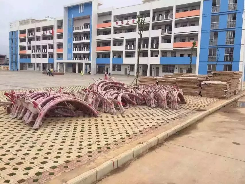 乒乓球桌廠圖片/乒乓球桌廠樣板圖 (3)