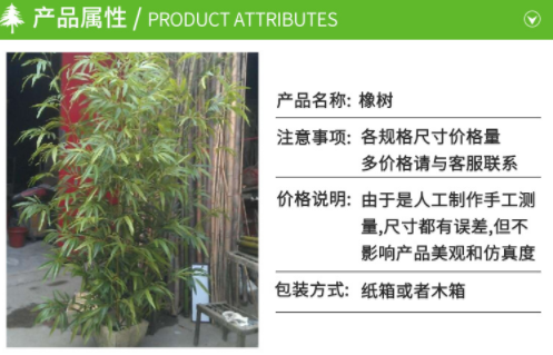 仿真竹子圖片/仿真竹子樣板圖 (3)